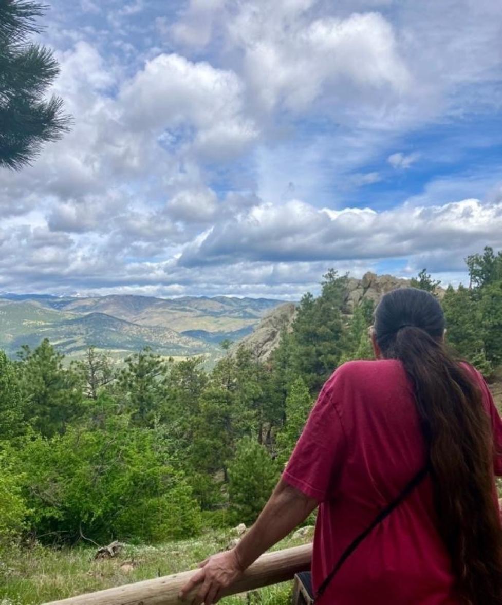 Ms. Only A Chief faces away from the camera, overlooking green, wooded mountains under a blue sky with white clouds.