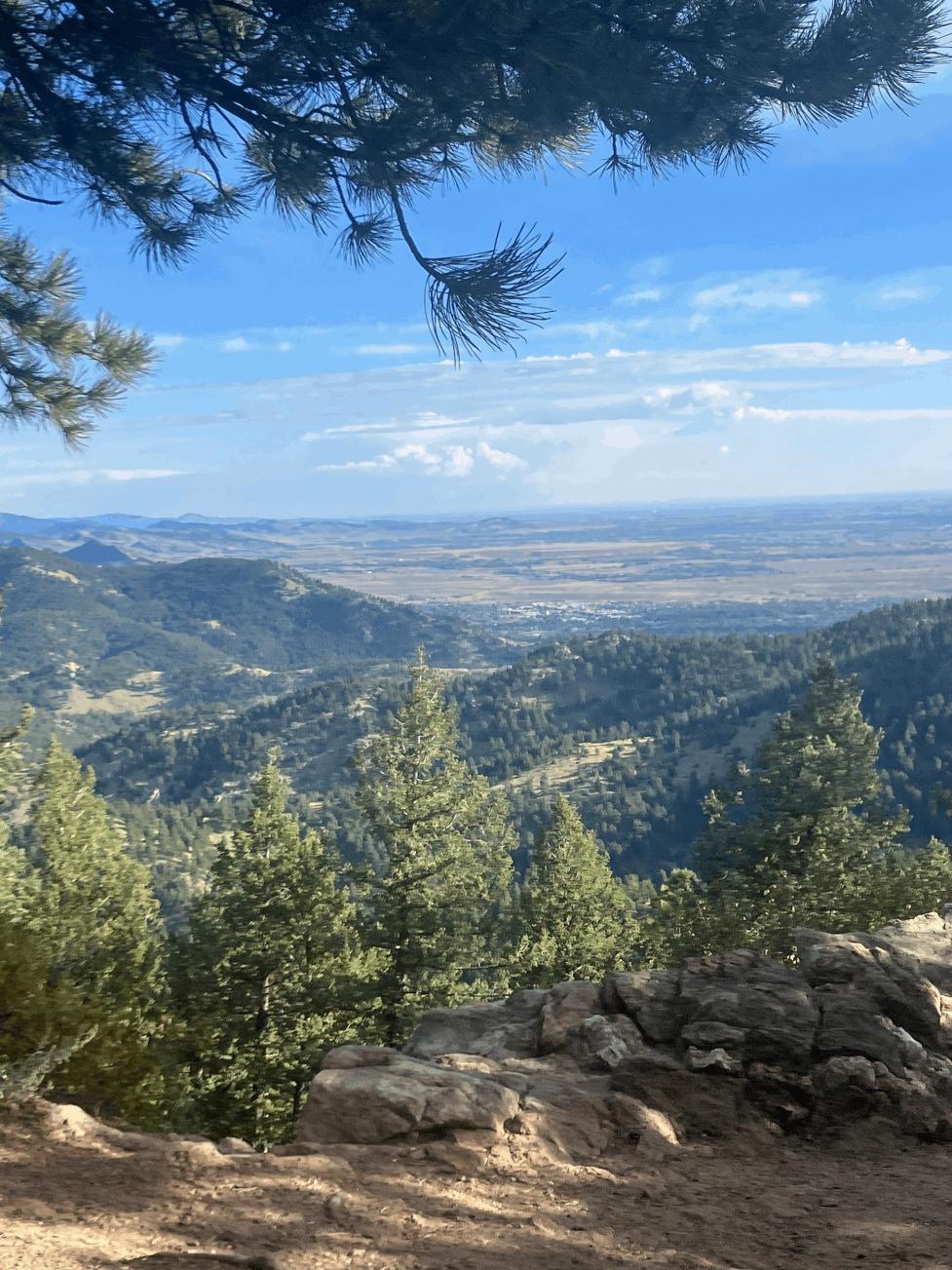 Landscape view from Boulder OSMP with tree branches and small conifers in the foreground, and green hills and mountains in the distance.