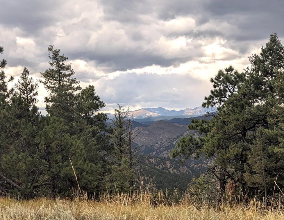 View from a small mountain in OSMP, with yellow grasses and conifers in the foreground. Between two tree groups, distant mountain ranges stretch toward the horizon under dark, cloud‑filled skies with some sunlight breaking through.