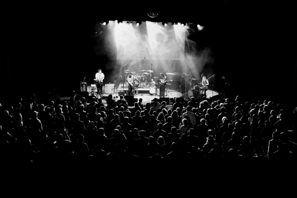 Crowd listening to a concert during Roots Music Fest