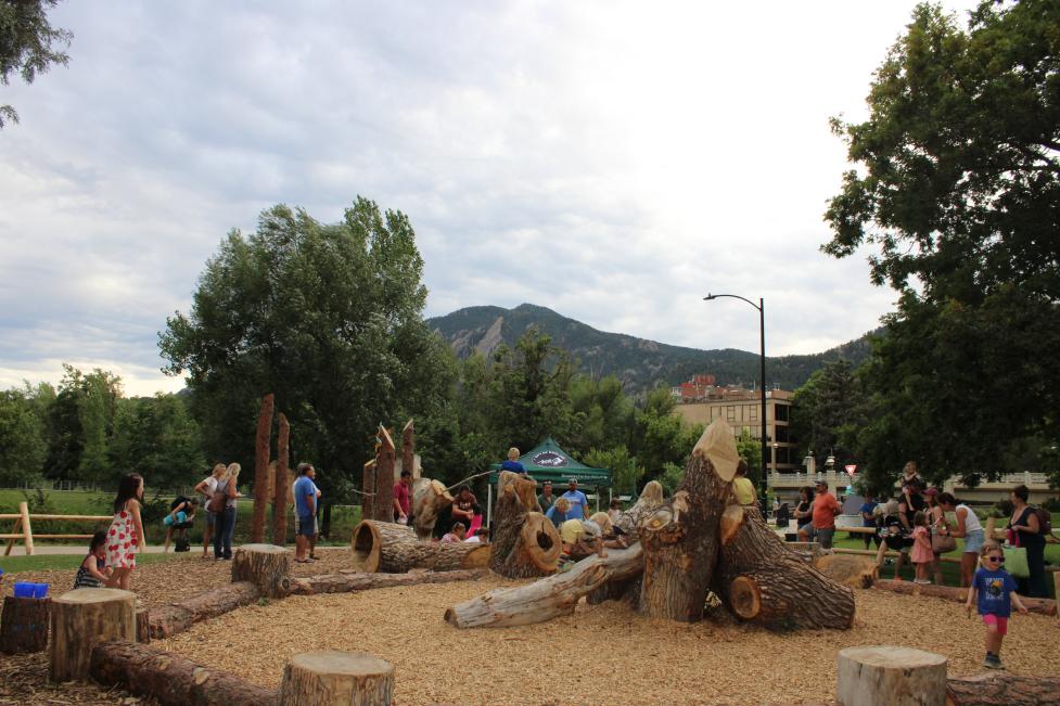 wild woods nature pop up at civic area