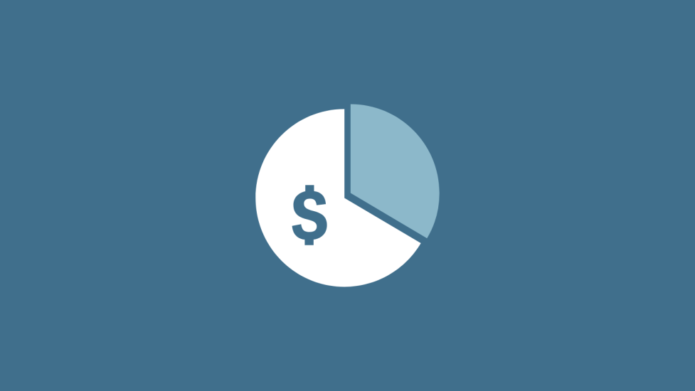 Budget Icon