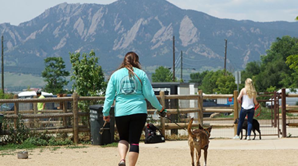 Dog and owner at Valmont Dog Park