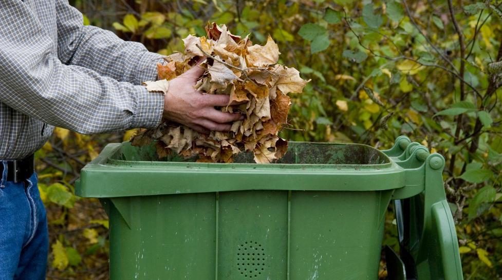 A man places raked leaves into his curbside compost bin