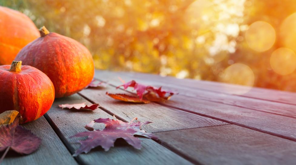 Pumpkins and Leaves on Wood Deck