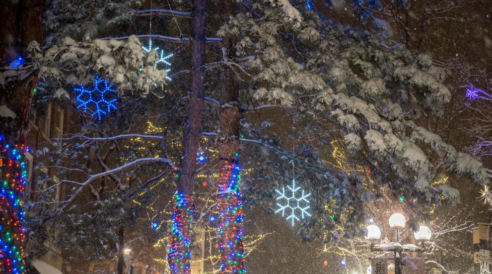 holiday lights downtown boulder