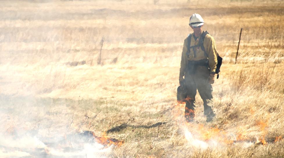 A Boulder firefighter monitors a prescribed burn