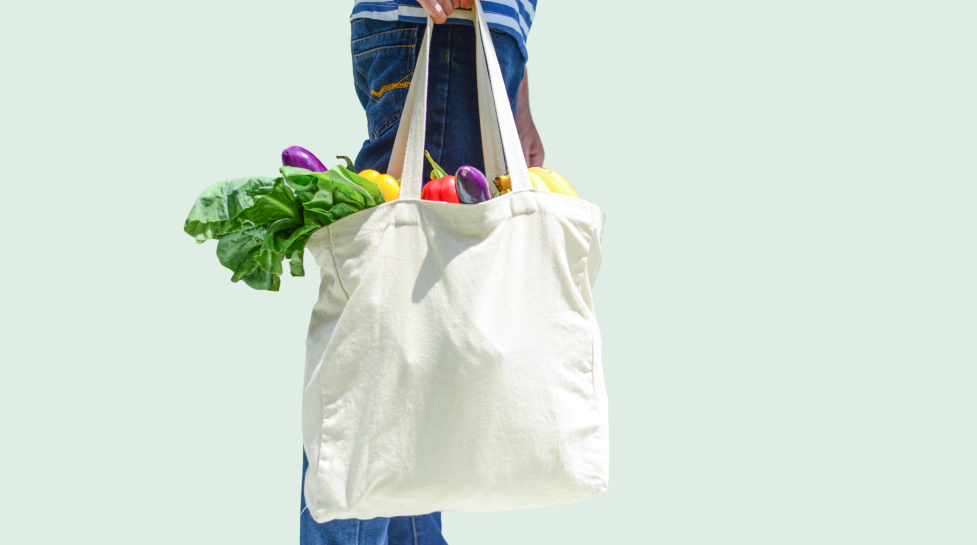 Person holding a reusable bag filled with groceries 