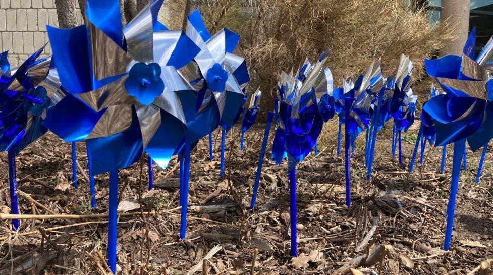 Blue and silver pinwheels in mulch in front of a city building