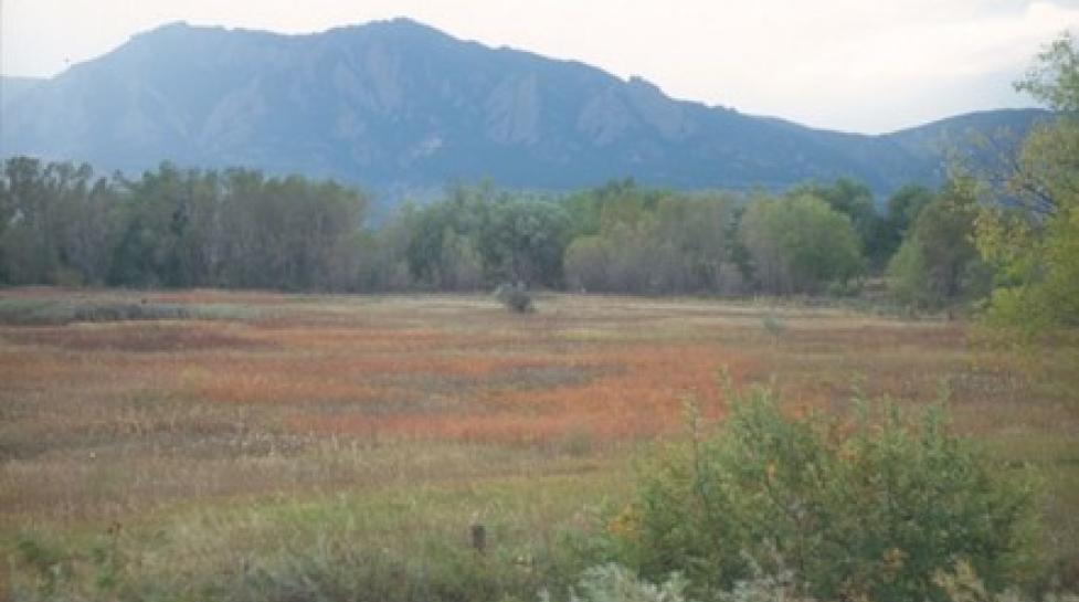 Red and green grasslands with blue flatiron mountains in the background.