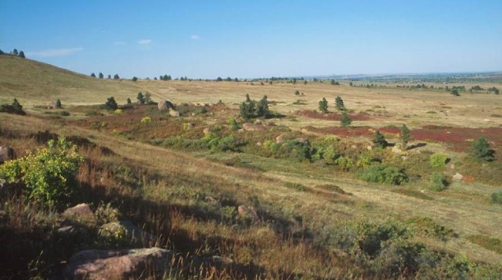green and brown grassland against a bright blue sky