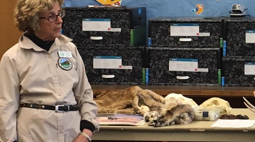 Woman in khaki shirt standing in a colorful classroom surrounded by animal pelts.