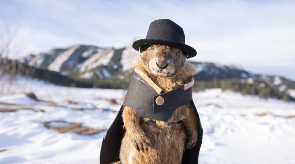 Stuffed marmot wearing a cap and top hat sitting against a background of snowy flatiron mountains.