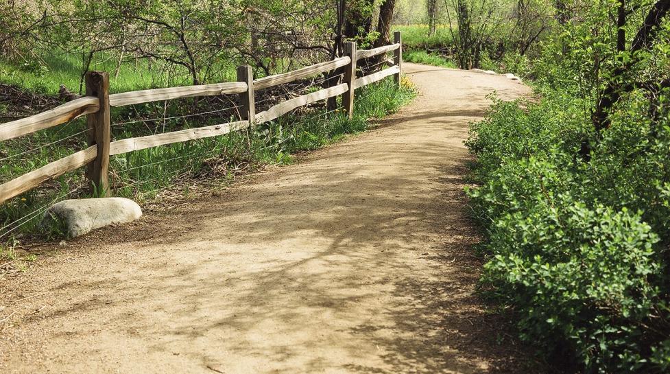 Dirt trail along greenway.