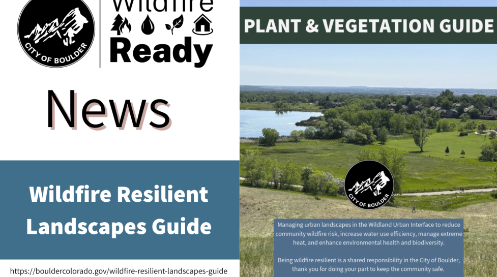 landscape guide lunch graphic