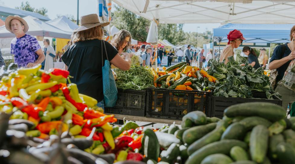 Attendees of the Boulder County Farmers Market shopping for produce