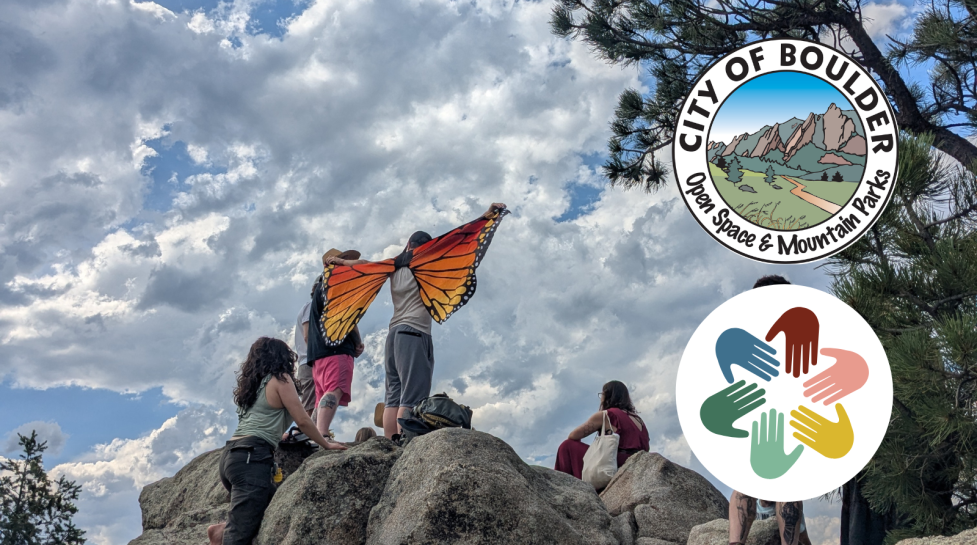 Group of people standing on a boulder outside with their backs to the camera. One person has big orange butterfly wings spread out against a blue sky. 