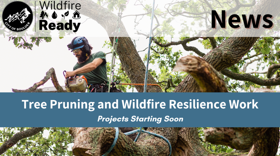 decorative graphic noting Tree Pruning and Wildfire Resilience Work