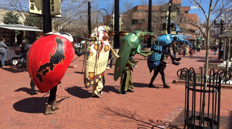 People marching down the Pearl Street Mall in colorful beetle costumes