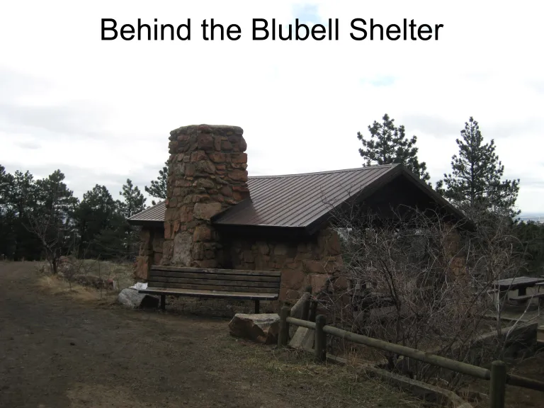 Behind the Bluebell Shelter