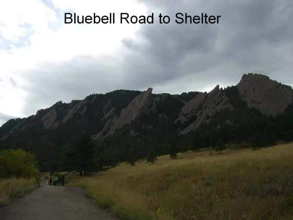 Bluebell Road to Bluebell Shelter