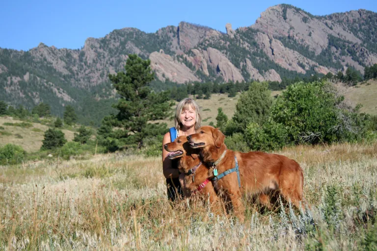 Woman and two dogs on open space