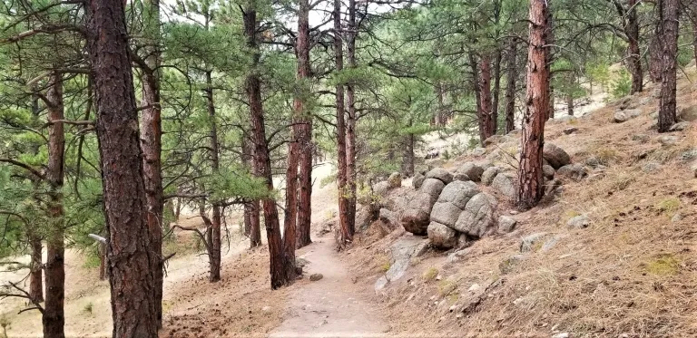 Lion's Lair Spur