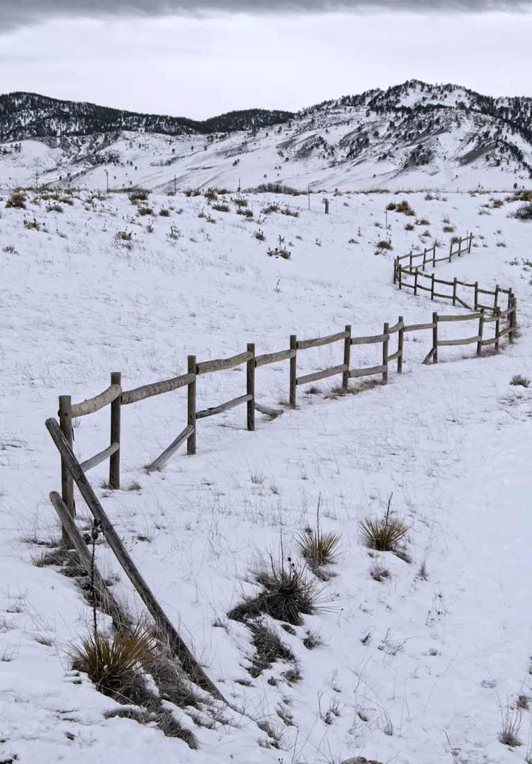 Eagle Trail in Winter