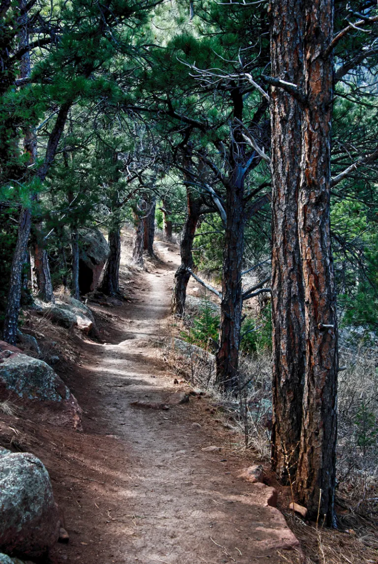 Lion's Lair Trail