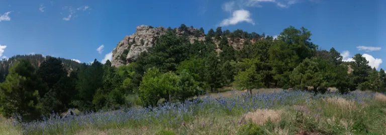 Mount Sanitas in Spring