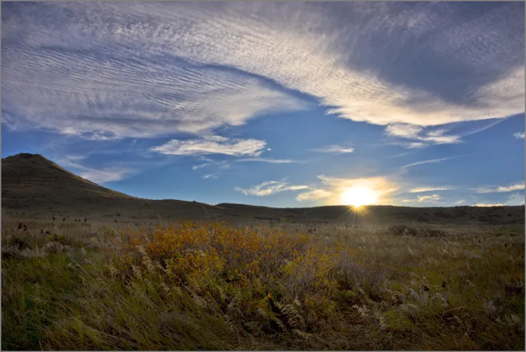 Sage Trail at Sunset