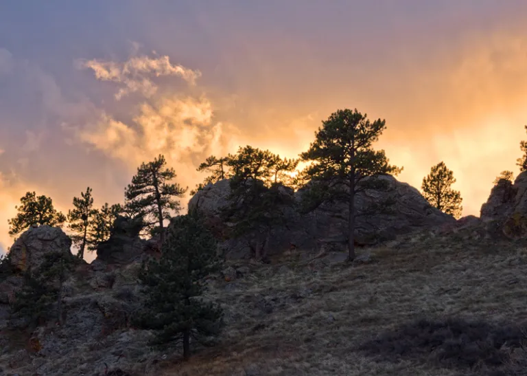 Sanitas Valley Sunset