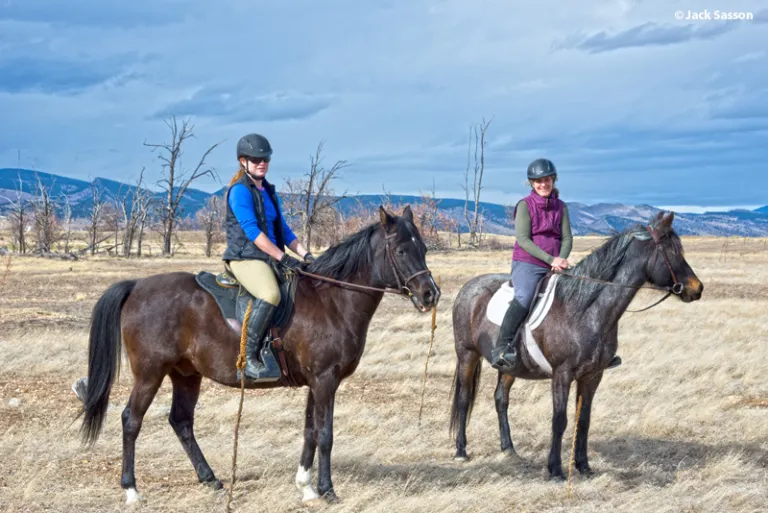 Two equestrians