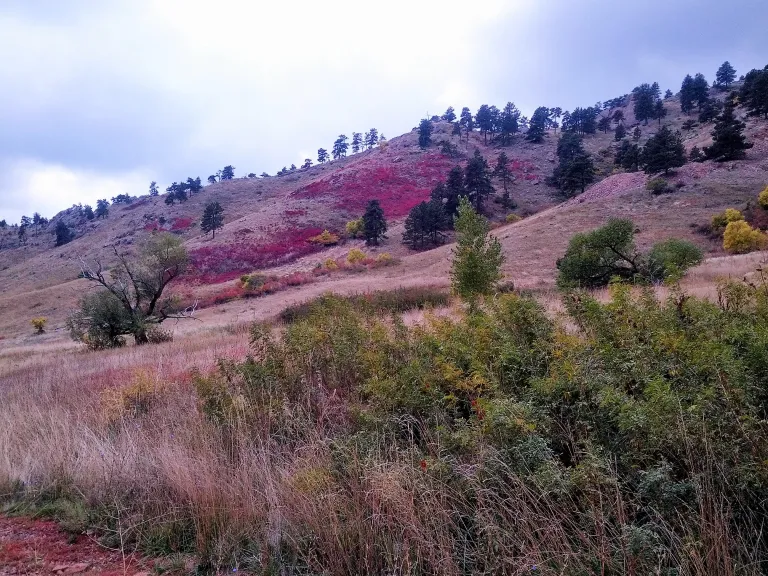 Sanitas Valley in Autumn