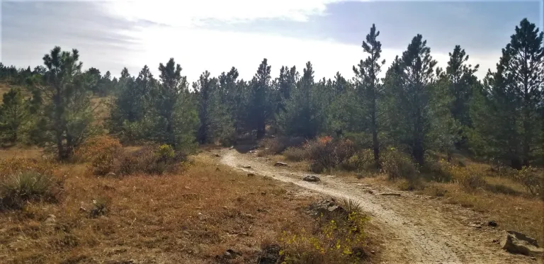 Coal Seam Trail