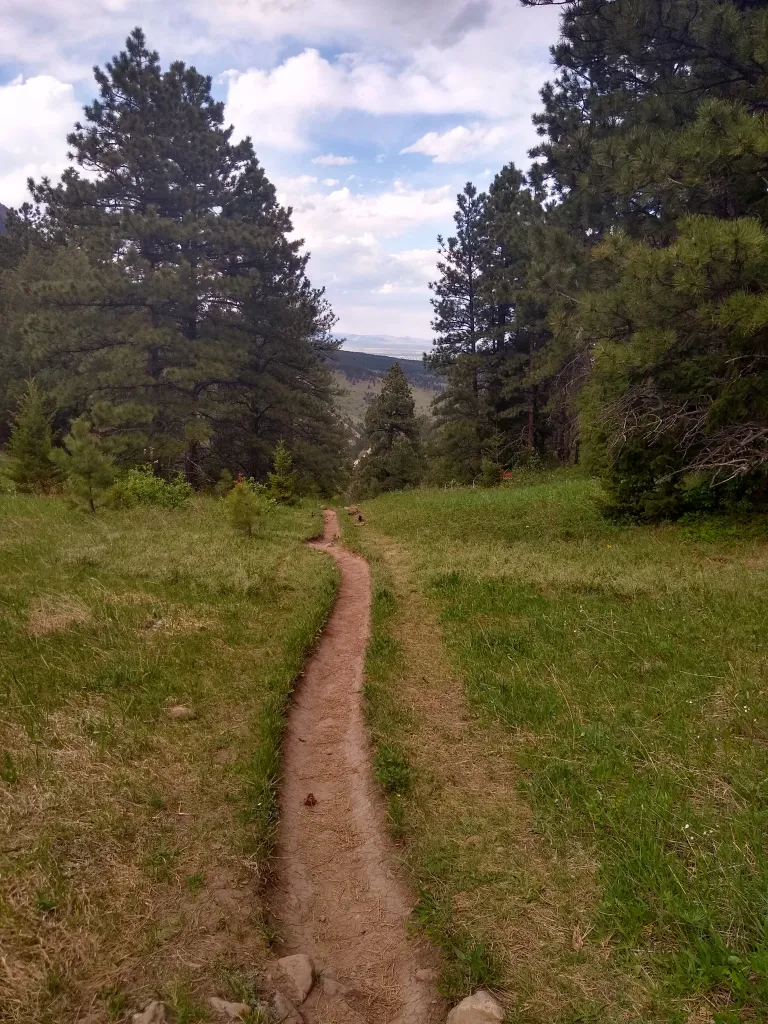 Goshawk Ridge in spring