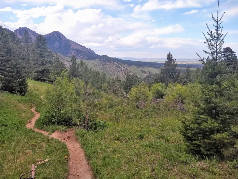 Goshawk Ridge view in spring