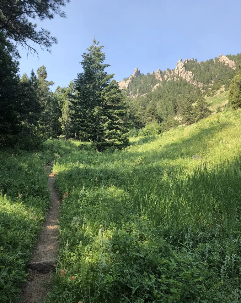 Goshawk Ridge Trail