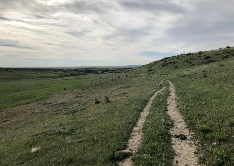 Rattlesnake on Hidden Valley Trail