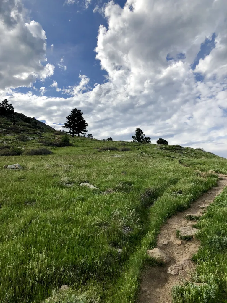 Hogback Ridge Trail
