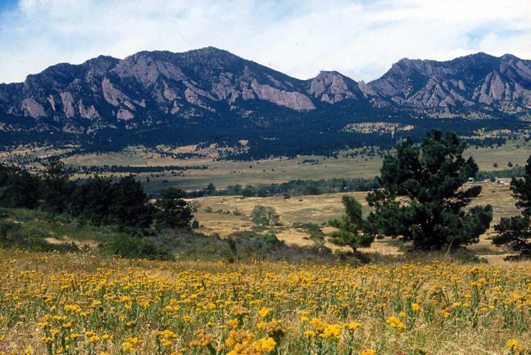 Marshall Mesa
