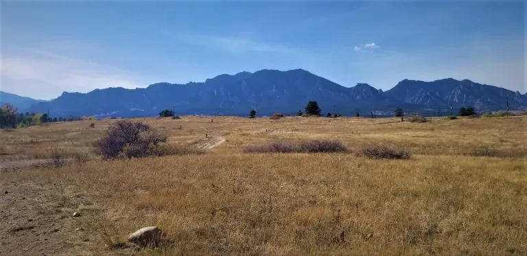 View from Marshall Valley Trail