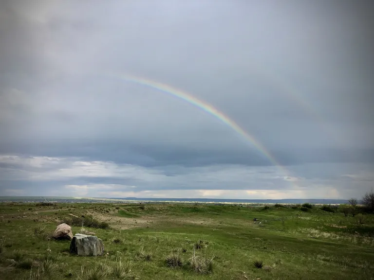 Mesa Reservoir Rainbow