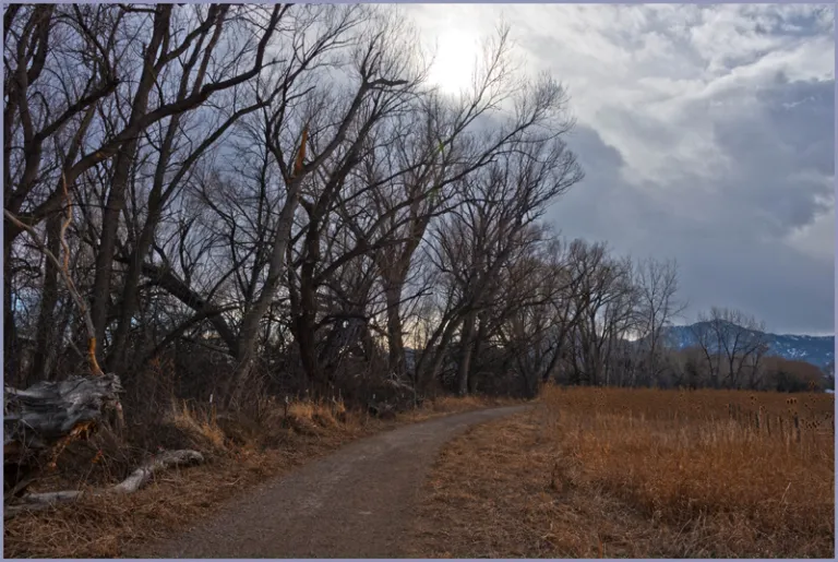 Cottonwood Trail in winter