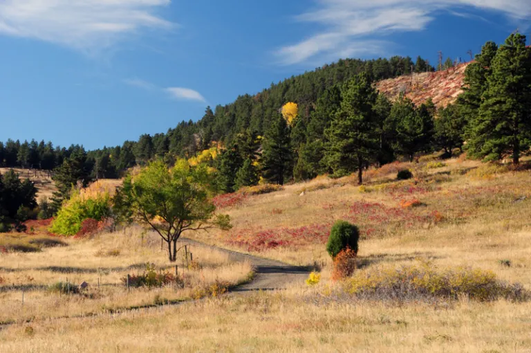 Fowler Trail in Autumn