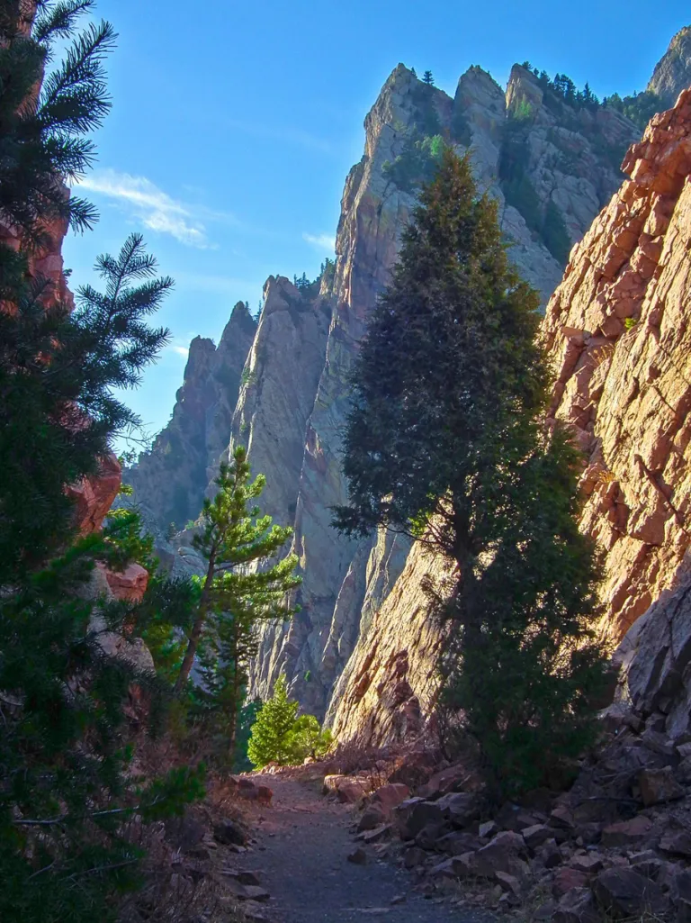 Fowler Trail railroad grade cut