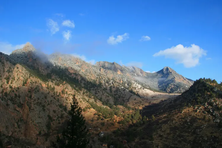 Fowler Trail