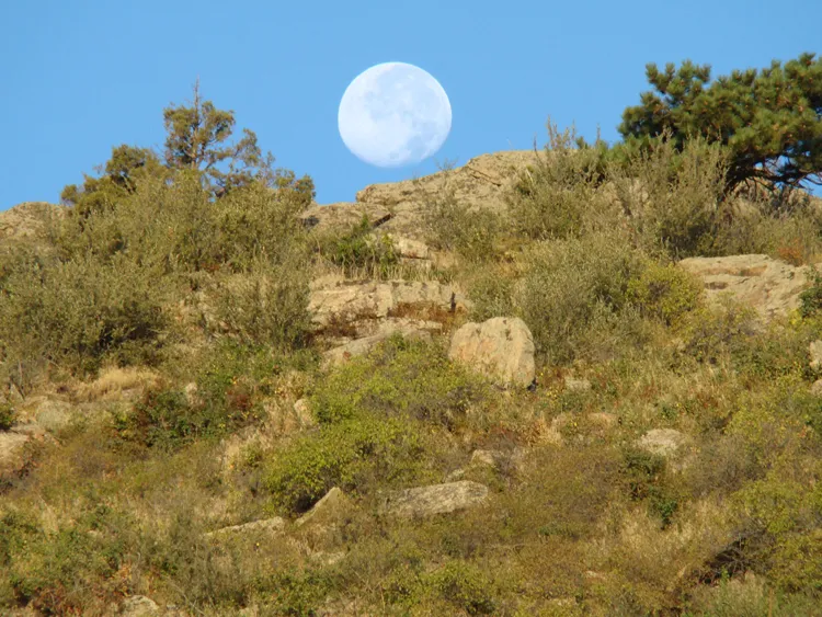Moonset over Hogback Ridge
