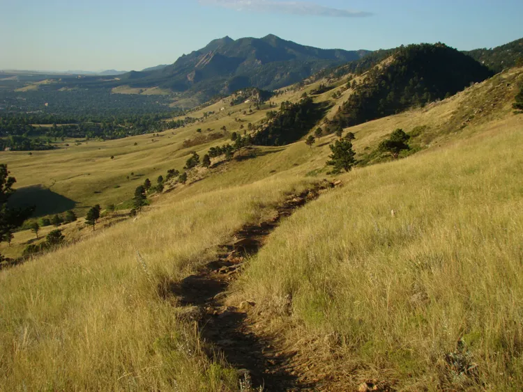 View south from Hogback Ridge