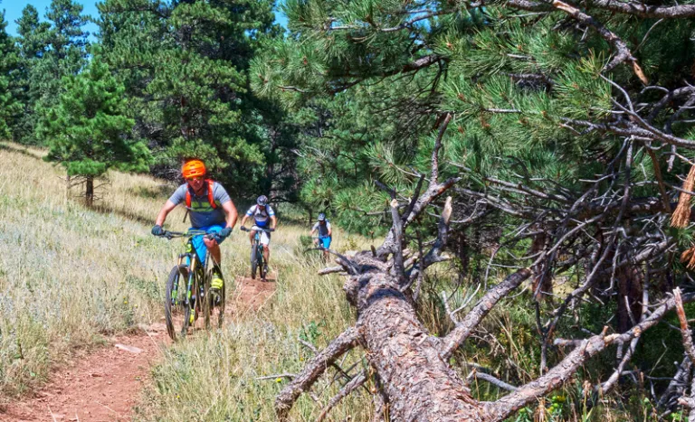 Bikers on Joder Ranch Trail